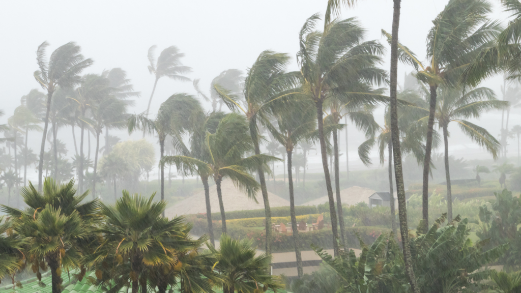 hurricane photo